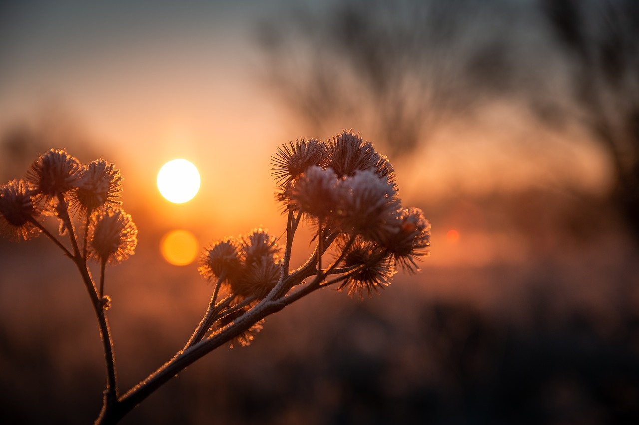 Zonneboiler: haal de zon in huis